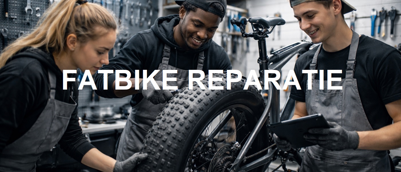 Reparatie en onderhoud van Fatbikes in Amstelveen